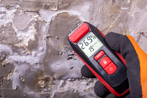Best DIY Mold Remediation Support Services in Richfield, WI