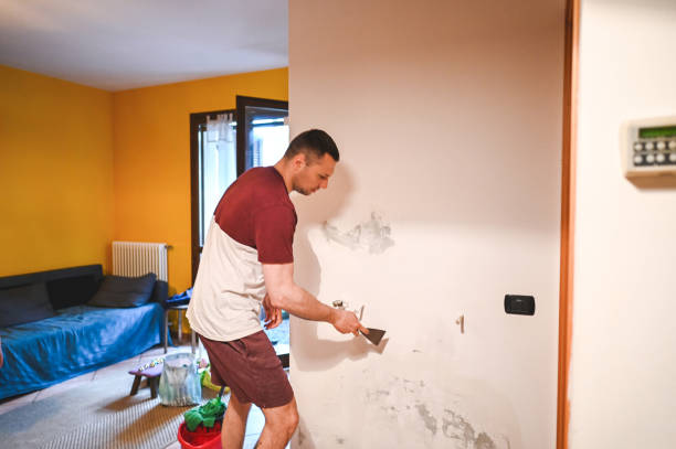 Best Post-Remediation Services in Richfield, WI